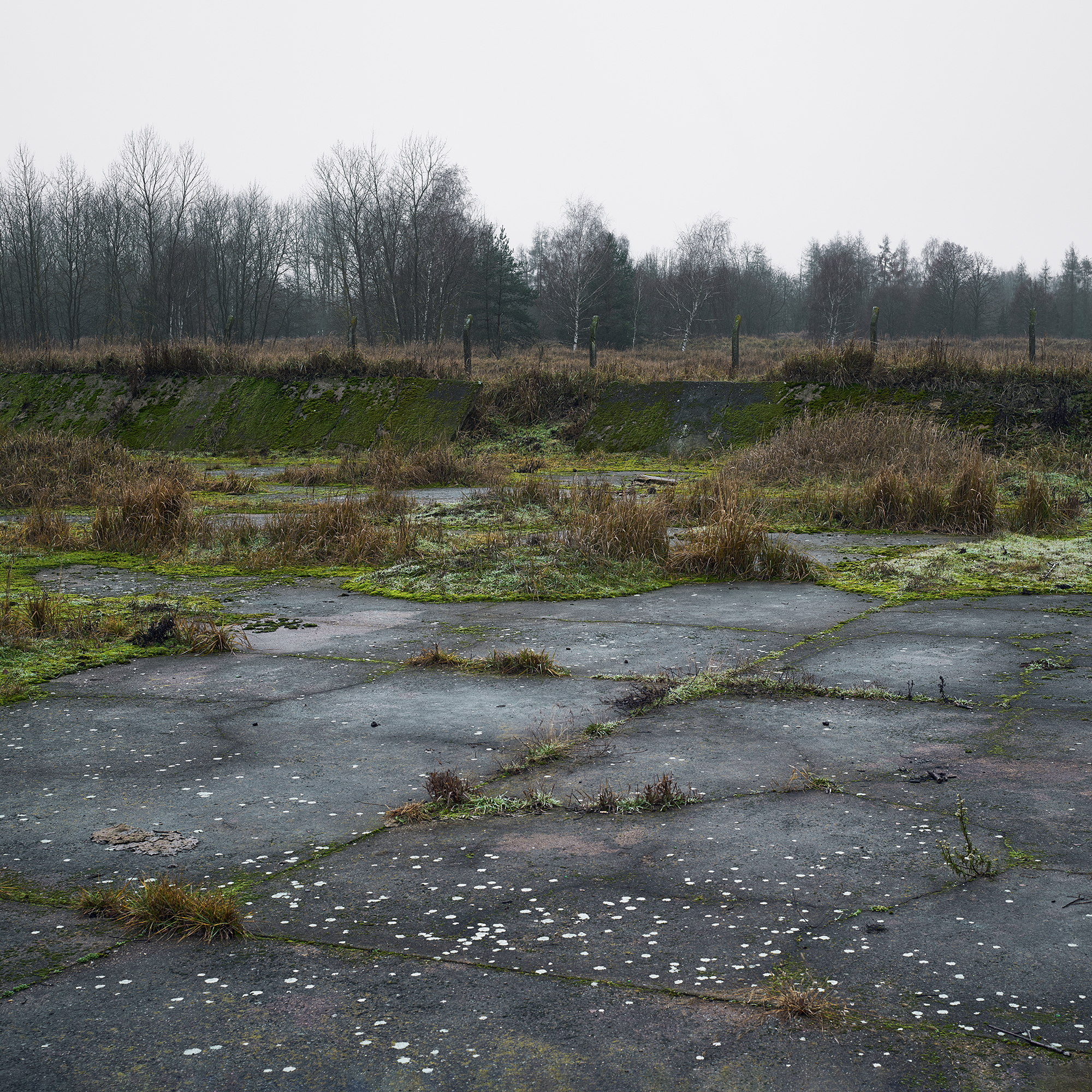 James Hobrecht Hobrechtsfelde Rieselfelder Abwasser Schwermetall