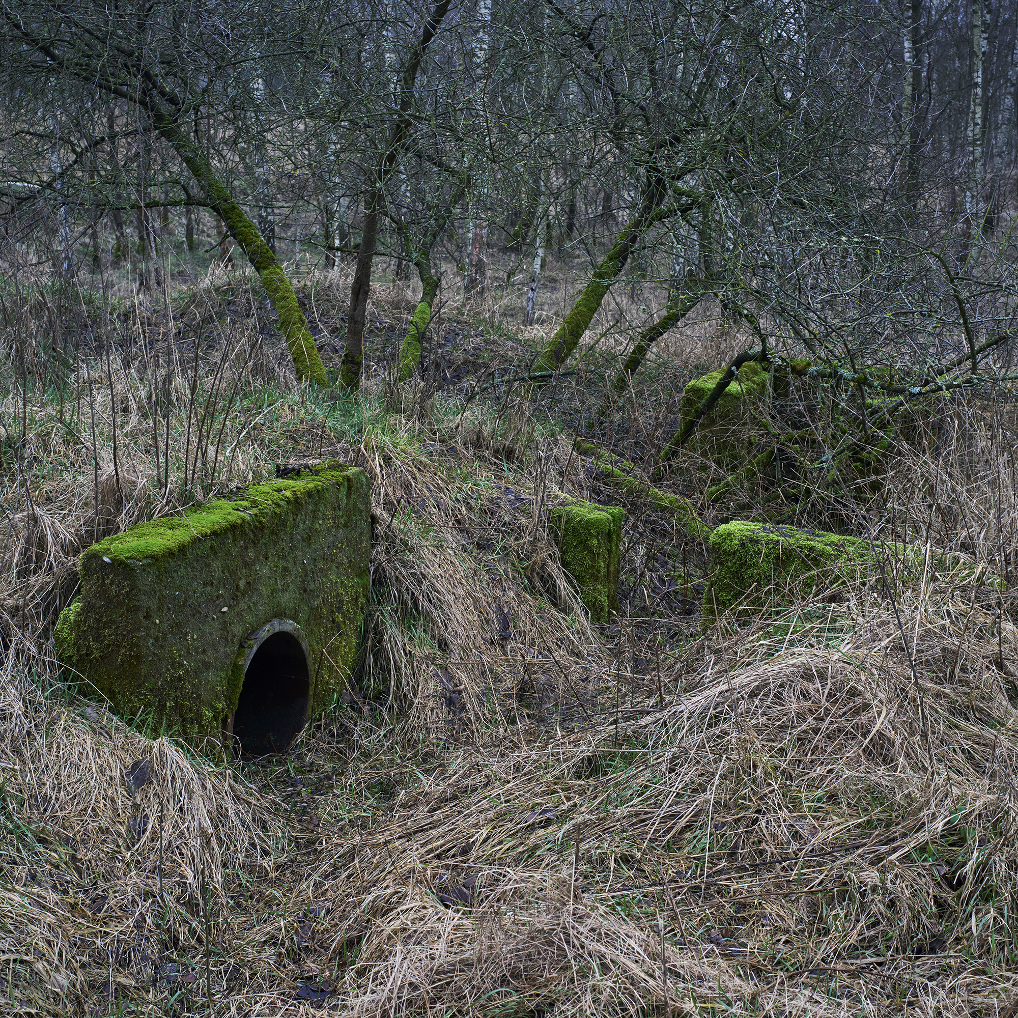 James Hobrecht Hobrechtsfelde Rieselfelder Abwasser Schwermetall